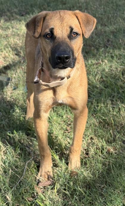 Marvin the Martian — thumbnail 2