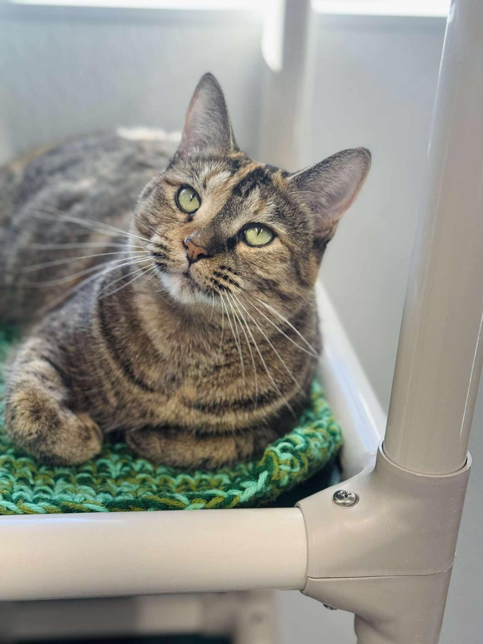 Lana Del Ray - At Petsmart