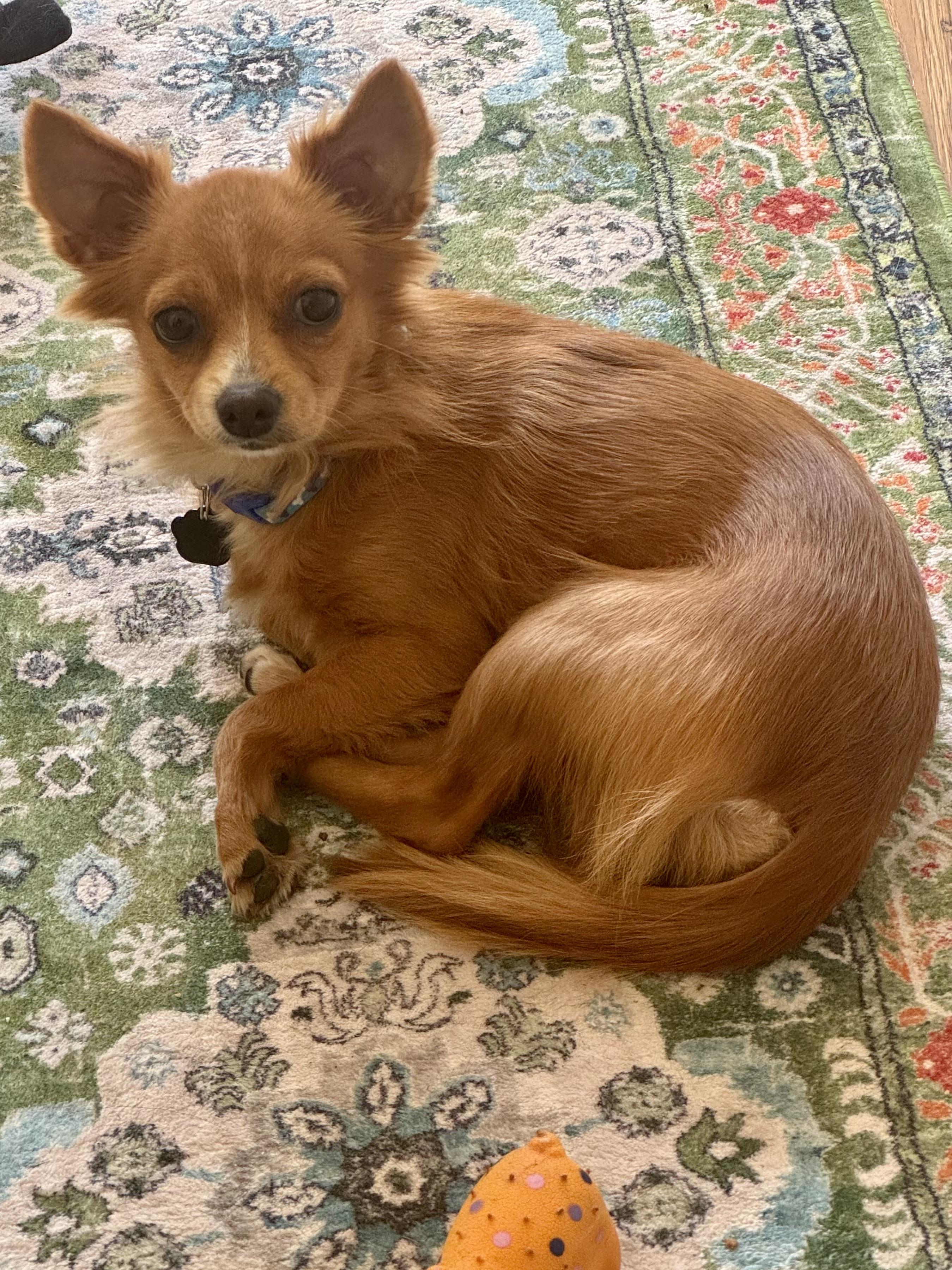 Tito