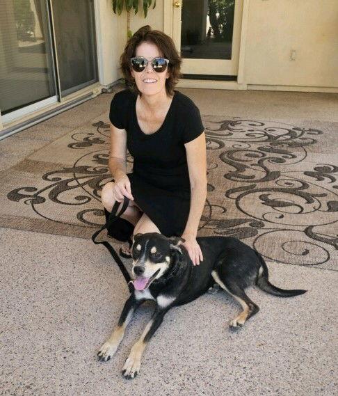 Enlarge TITO, a Adopted mixed breed in Chandler, AZ image 3/3