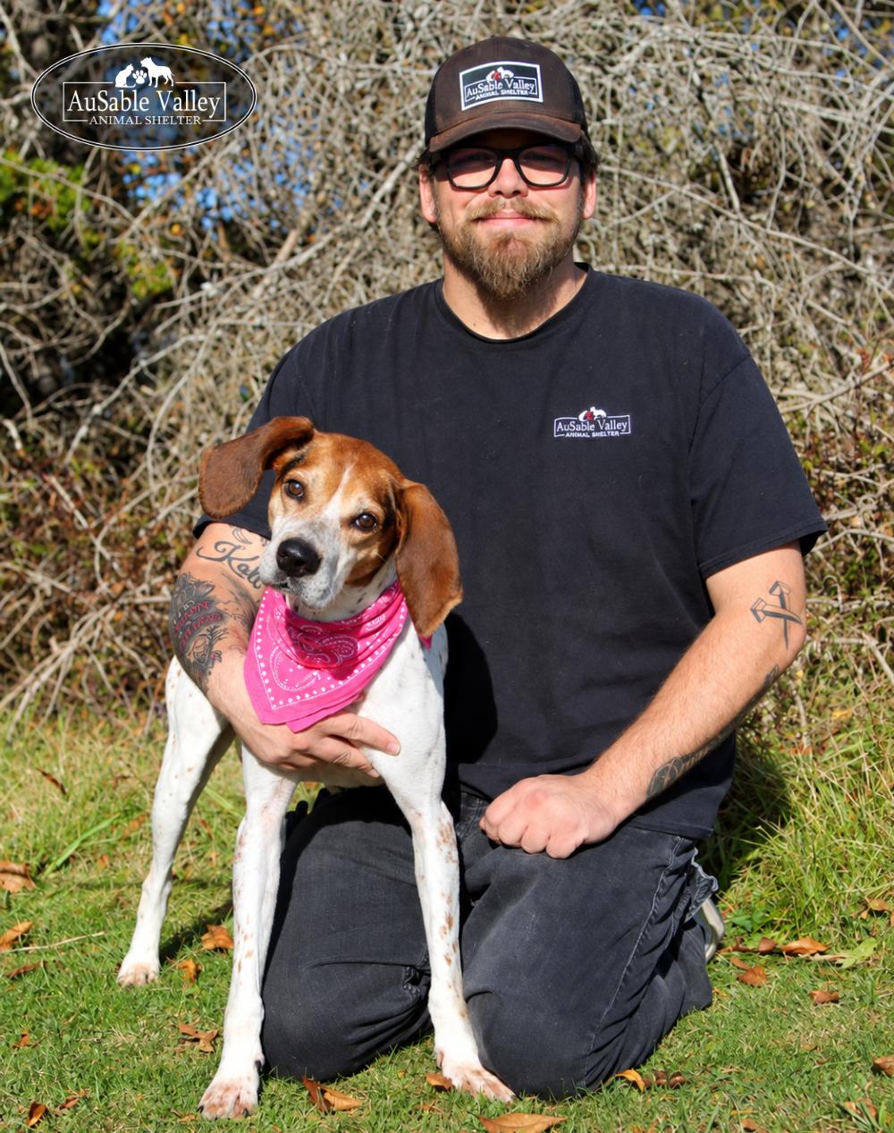 Enlarge Evie, a Adoptable Coonhound in Grayling, MI image 2/6