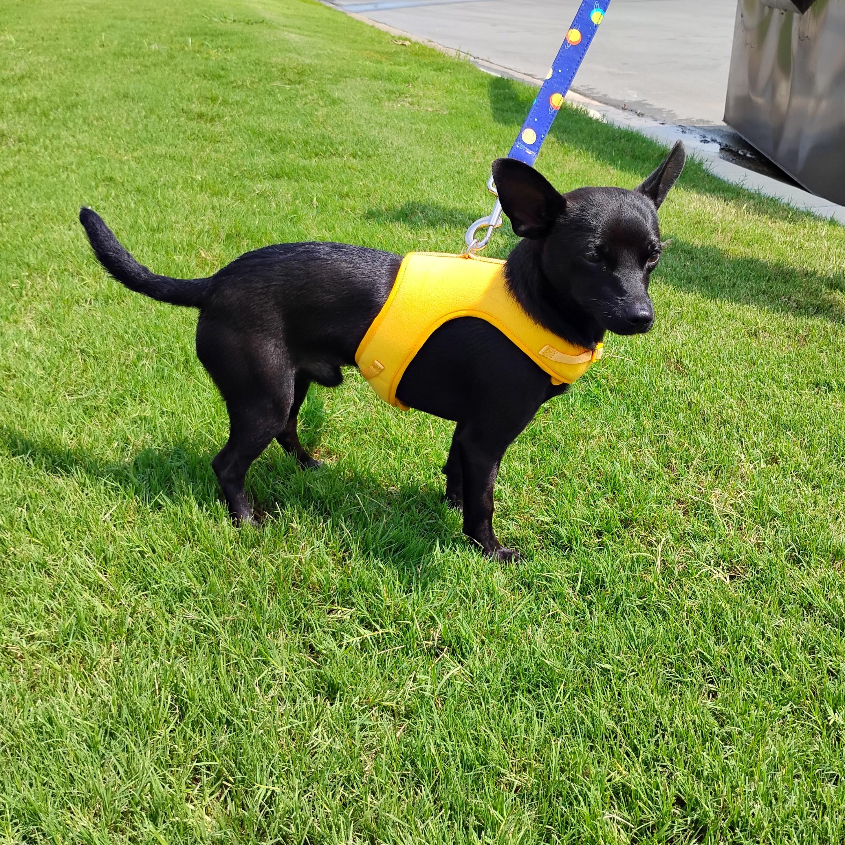 Benny