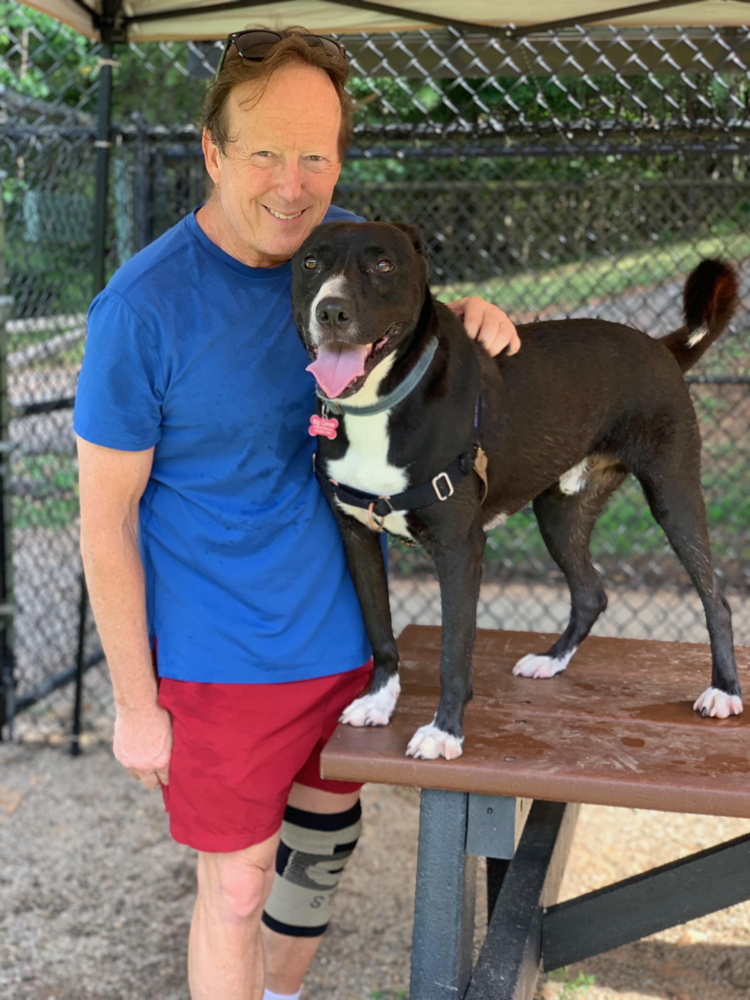 Enlarge Whiskey, a Adoptable mixed breed in Jasper, GA image 3/6