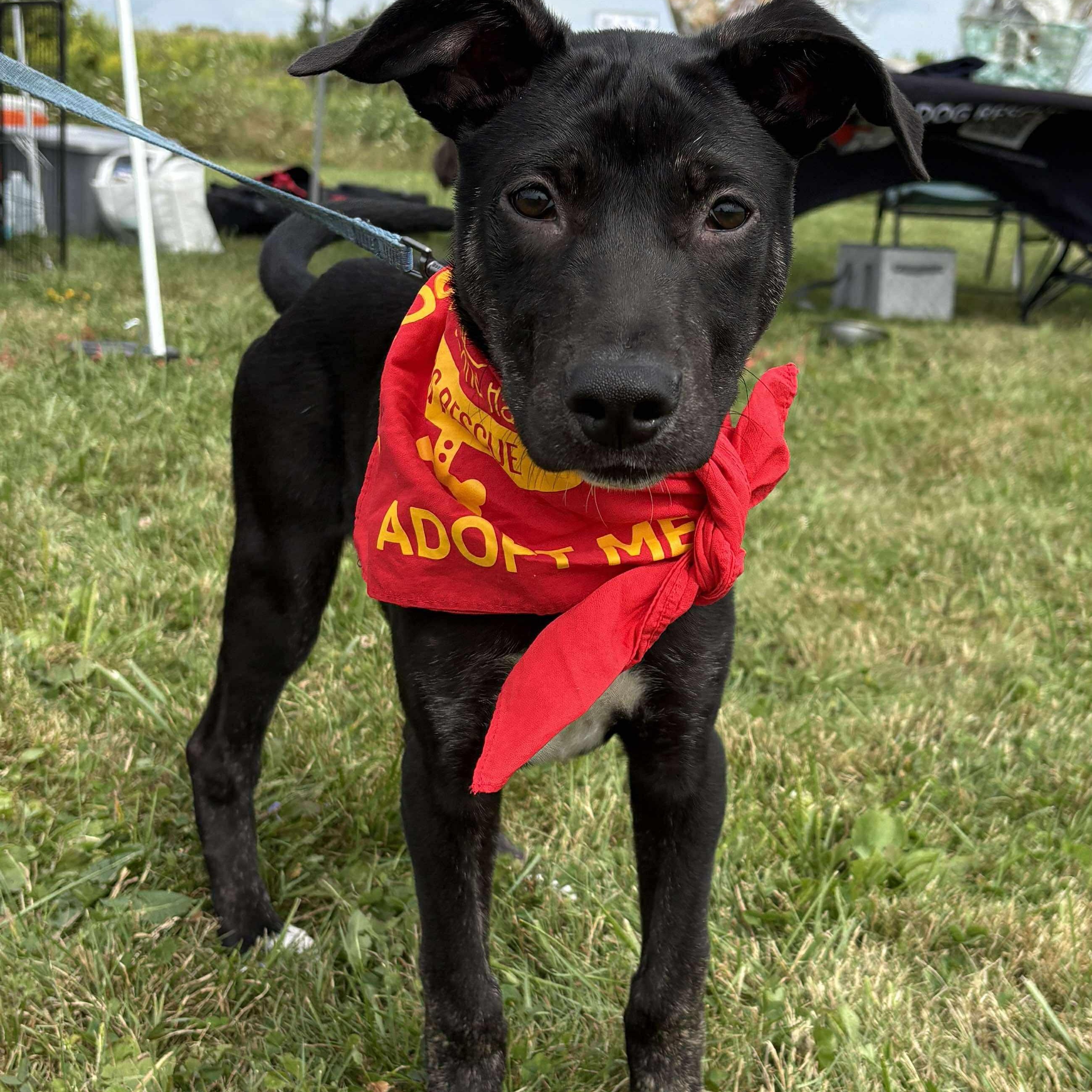 Aspen