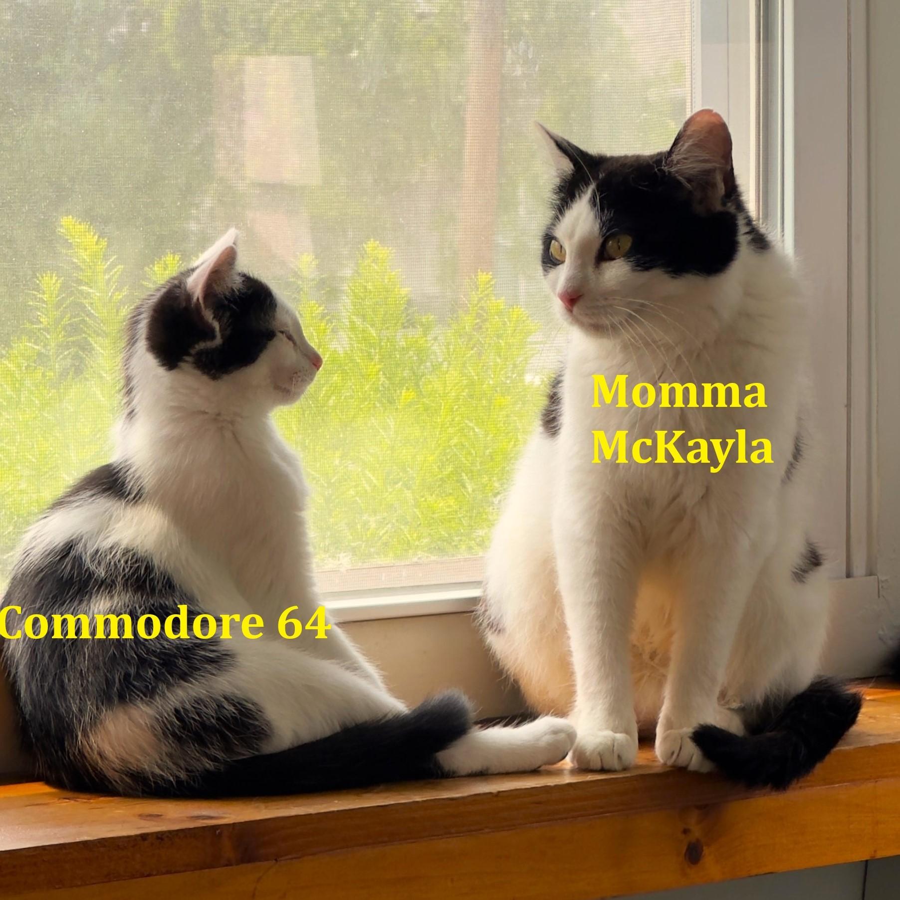 Altair (mckayla) thumbnail 3