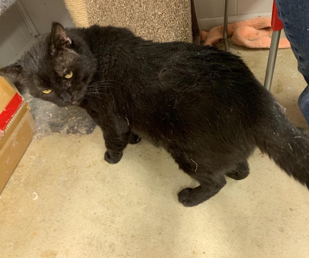 Slash — thumbnail 3