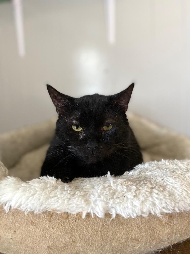 Slash — thumbnail 4