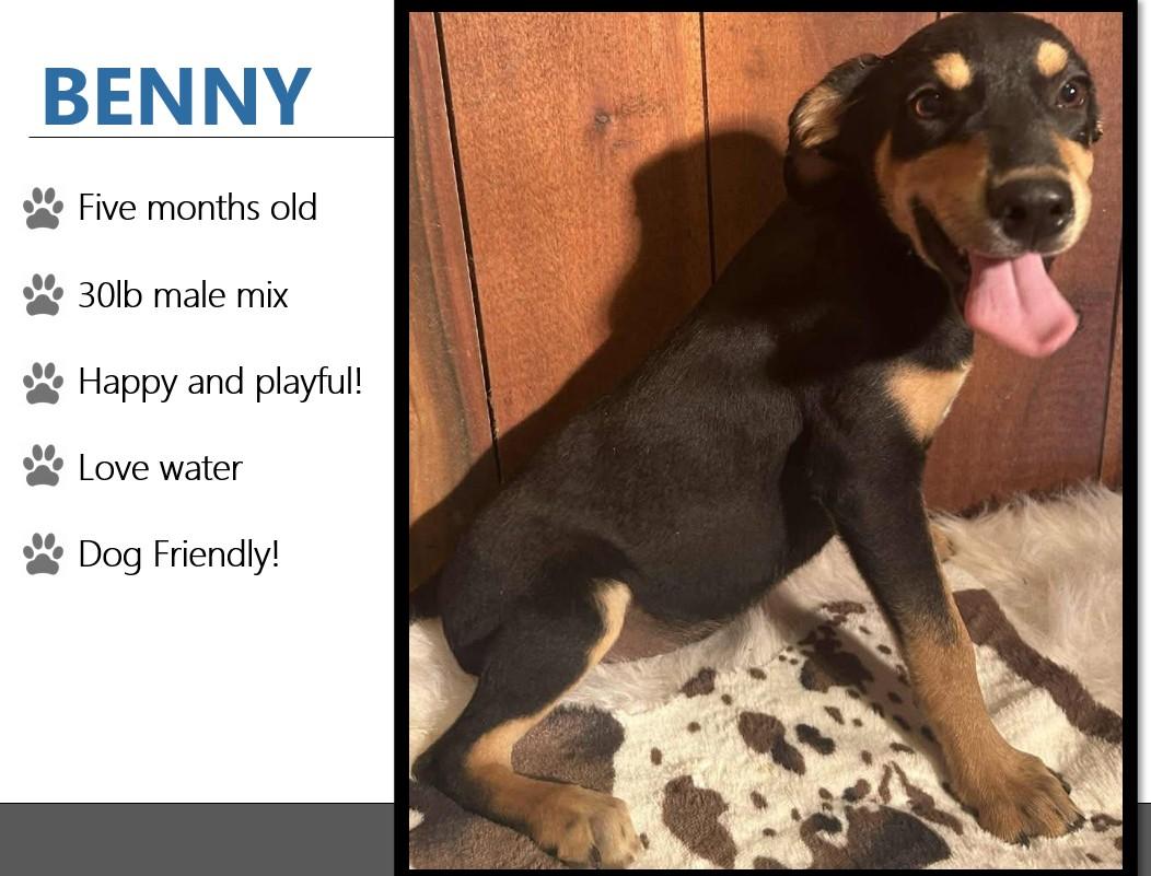 Foster BENNY!