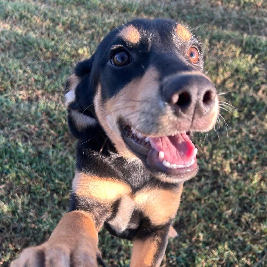 Foster BENNY!