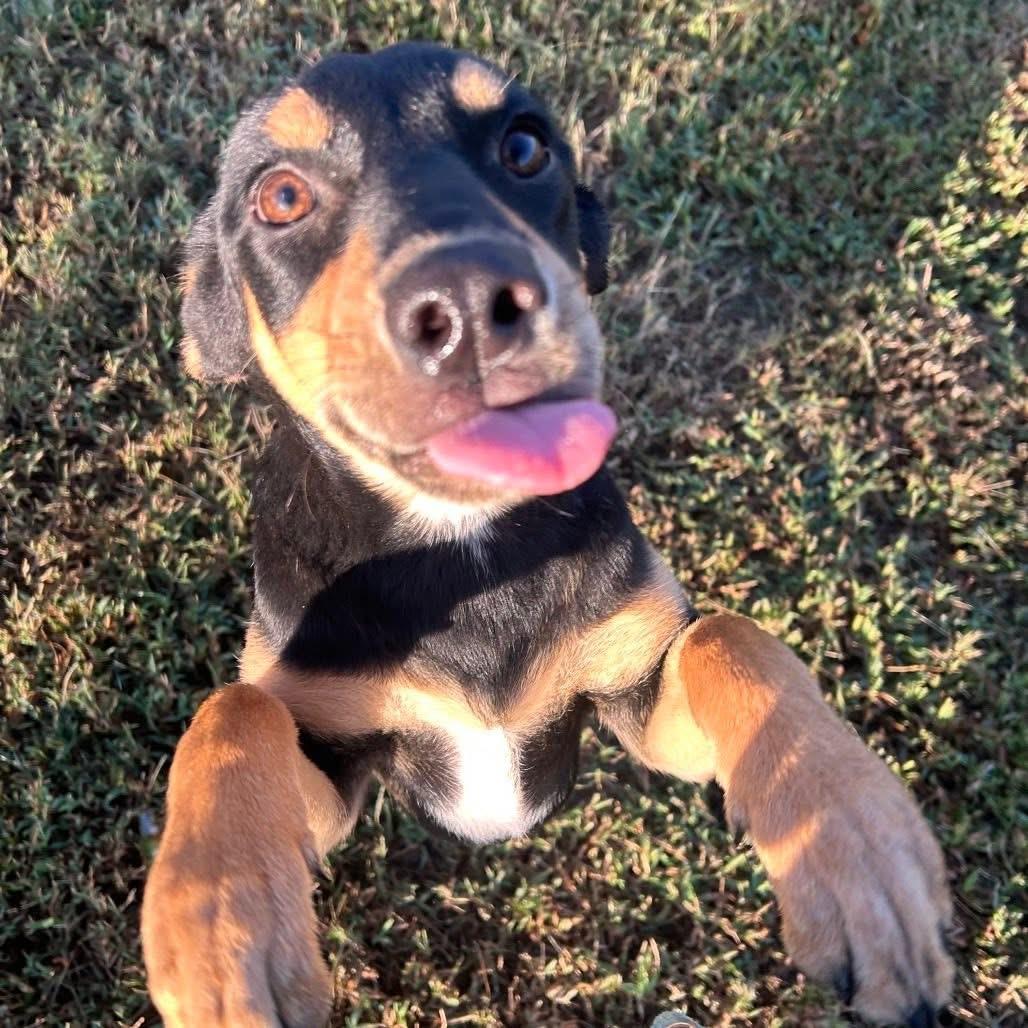 Foster BENNY!