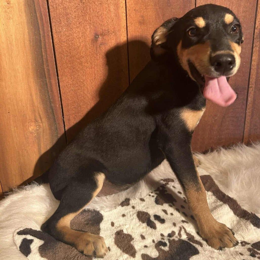 Foster BENNY!
