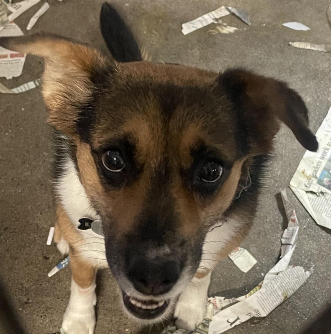 Lucy