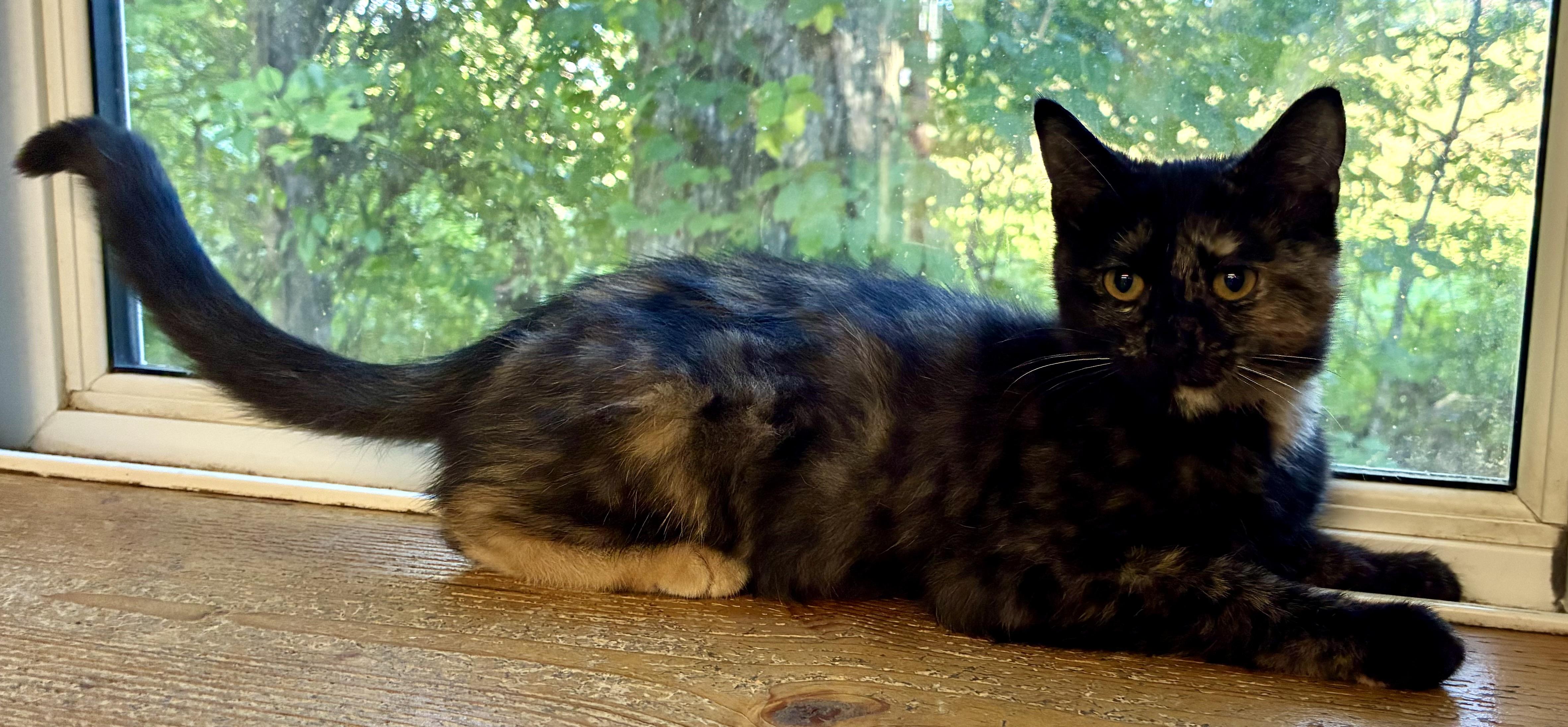 PEACHES