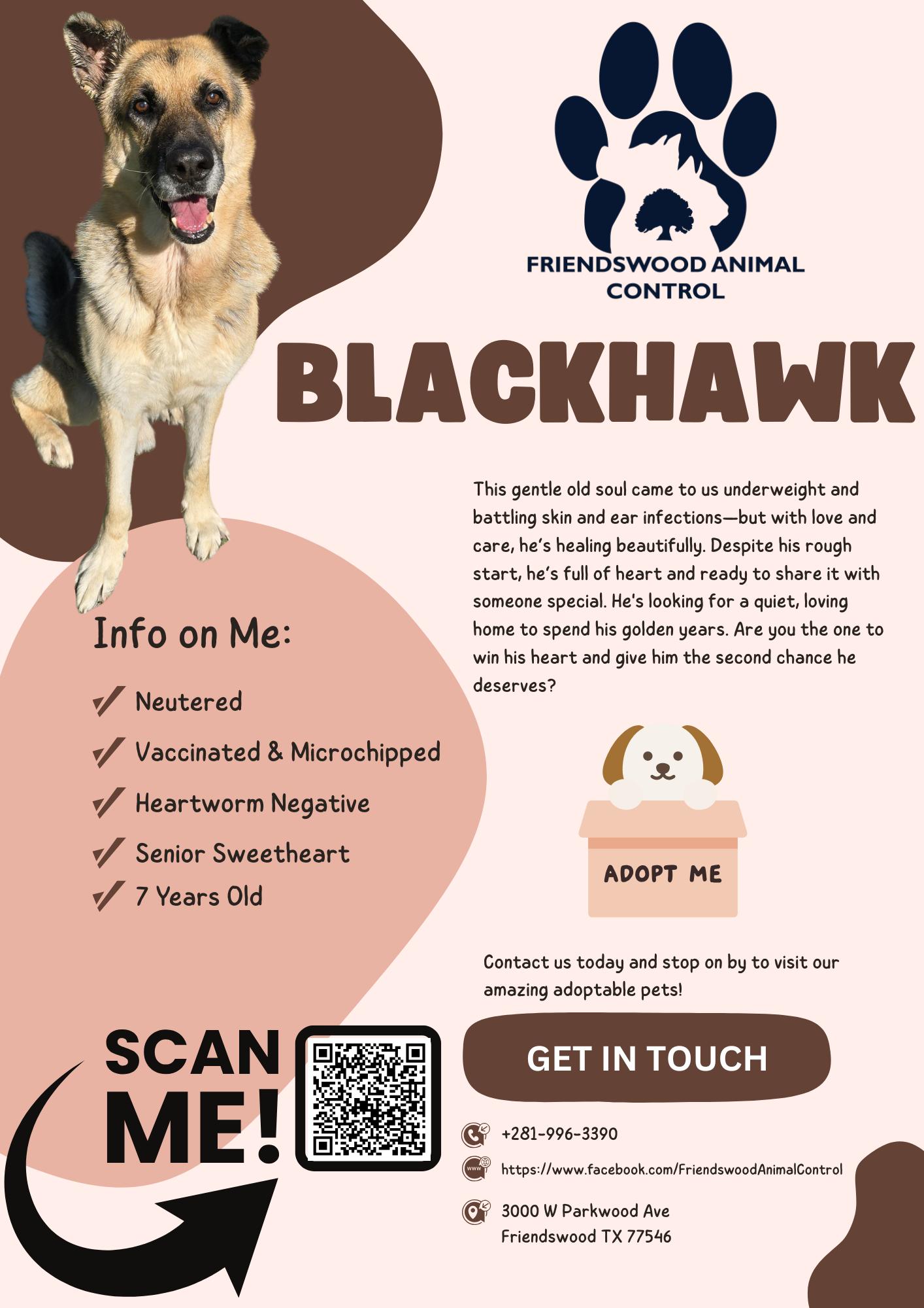Blackhawk 3