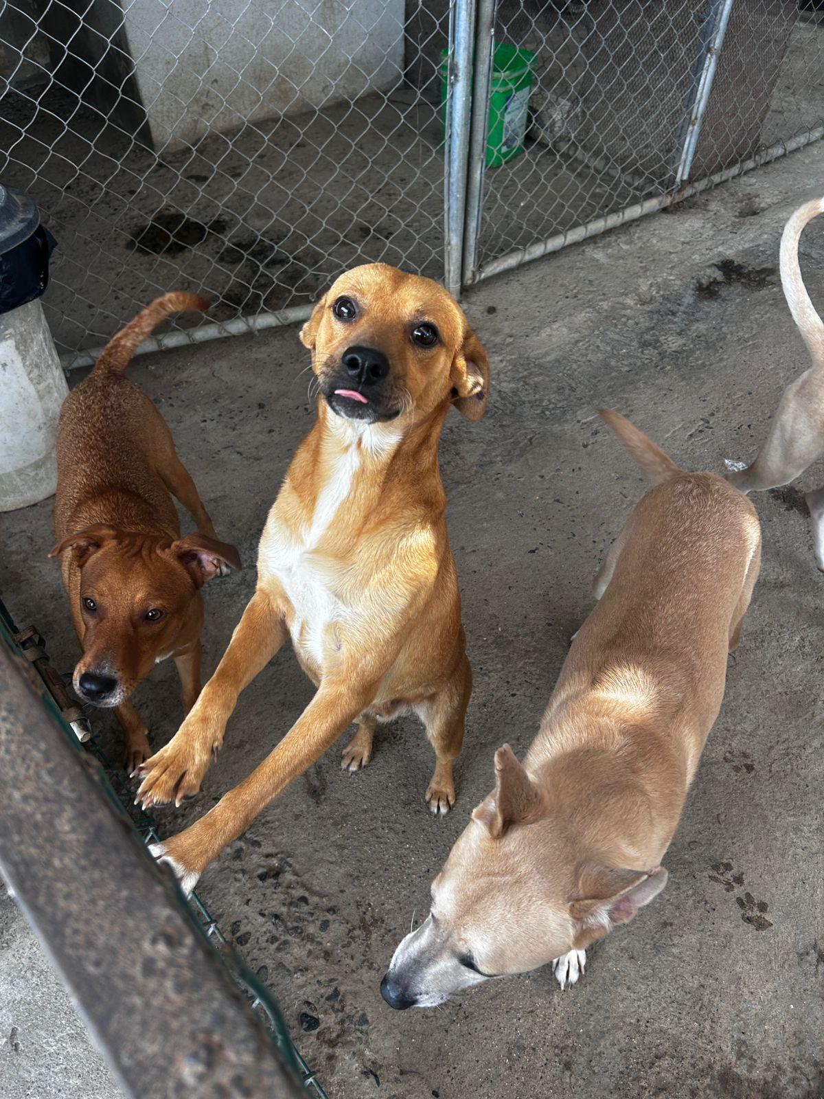 Luki — thumbnail 3