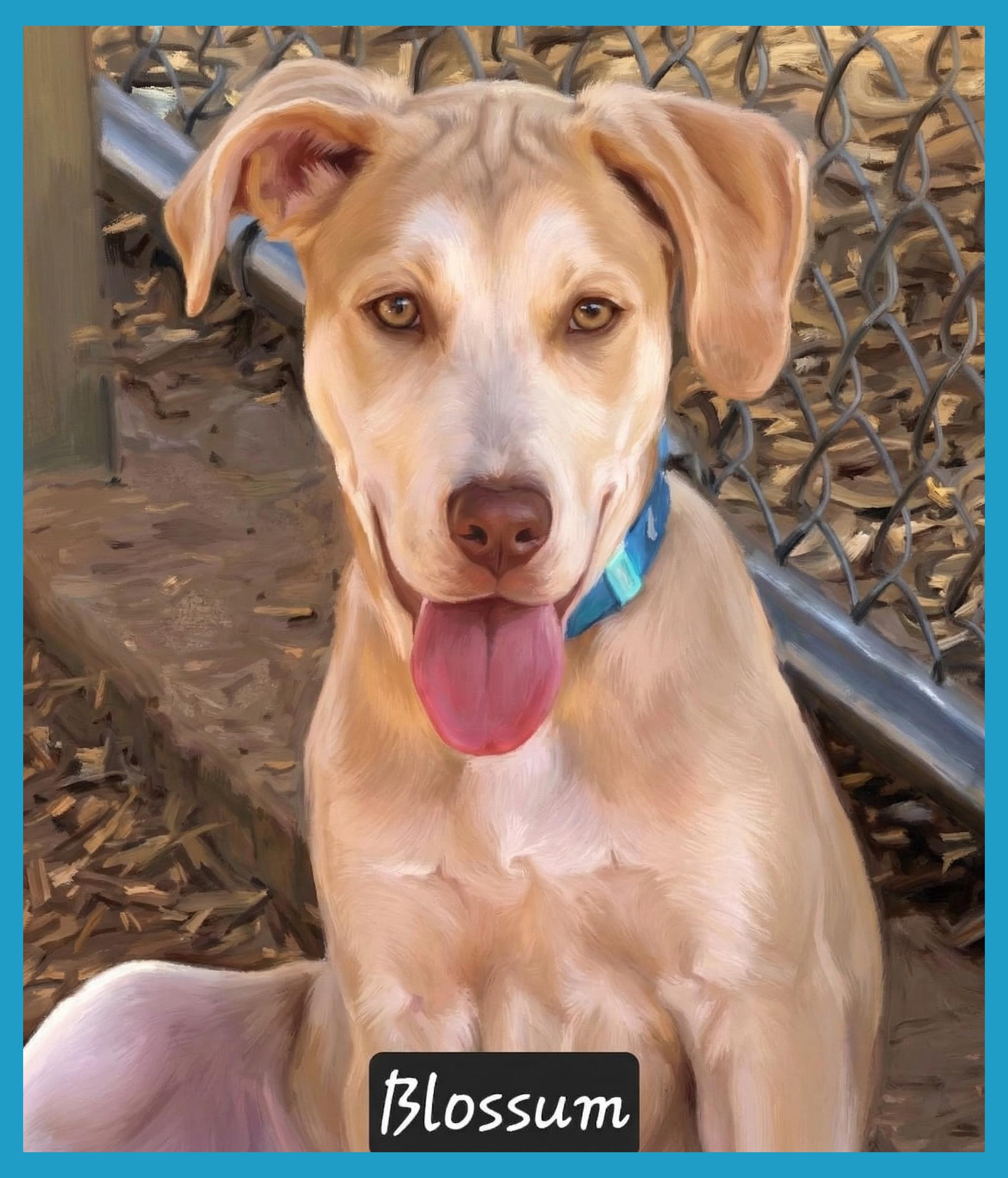 Blossom , ADOPTABLE, Puppy Female Hound.