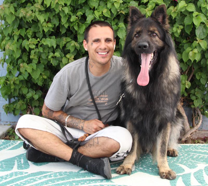 Enlarge *Bear von Brienz, a Adoptable German Shepherd Dog in Los Angeles, CA image 3/6