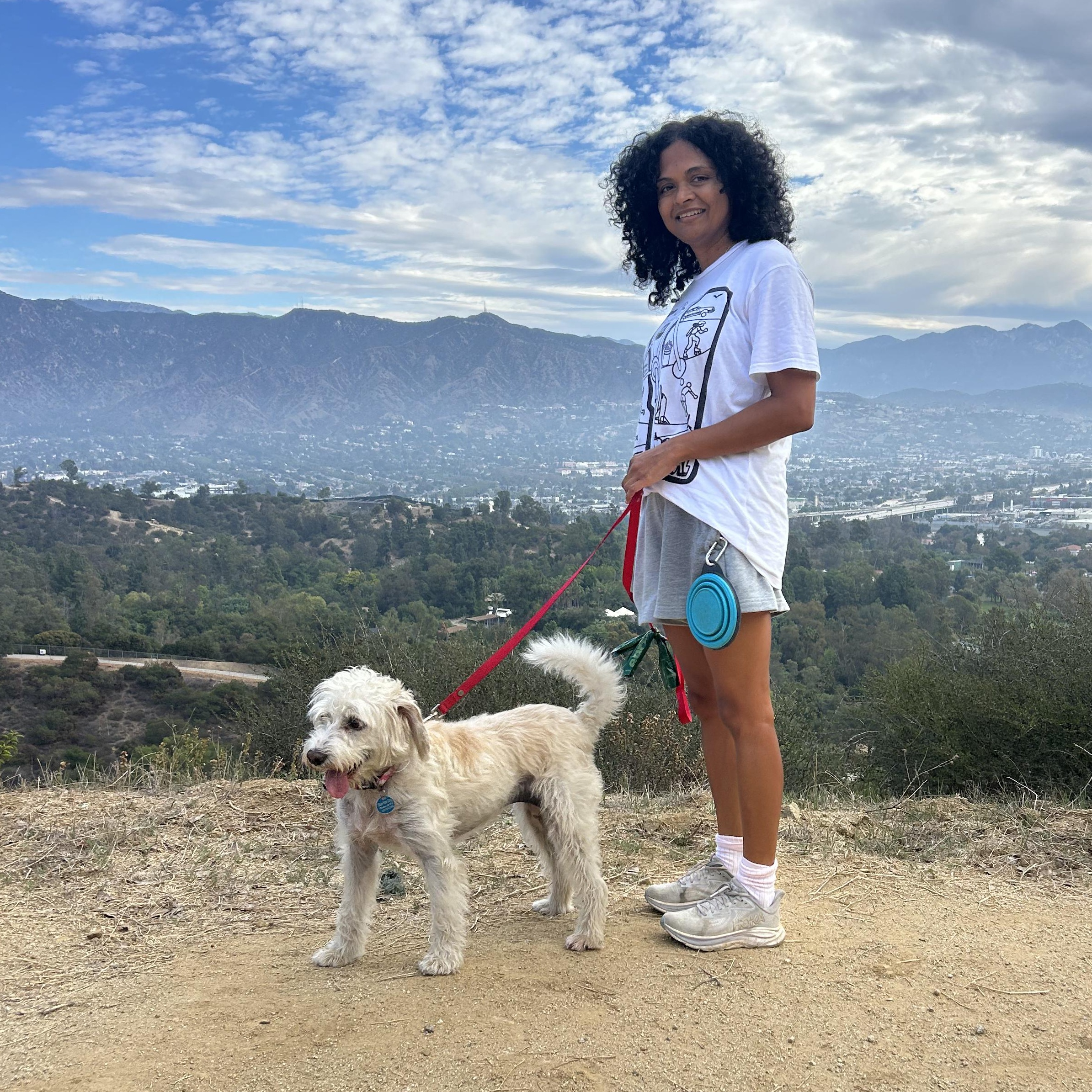 Enlarge Kiki - 29 pounds, a Adoptable mixed breed in Burbank, CA image 5/6