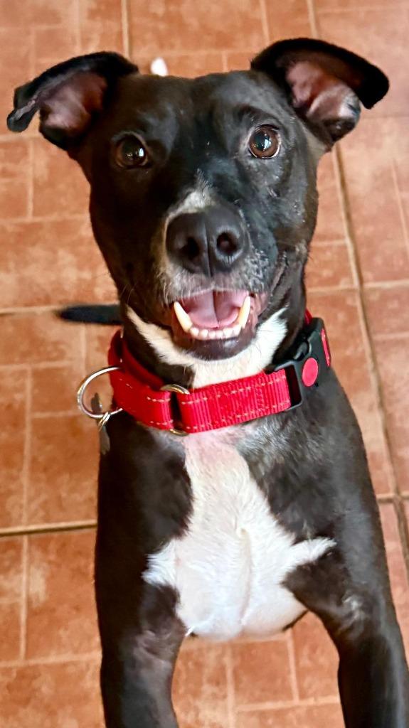 River — thumbnail 4