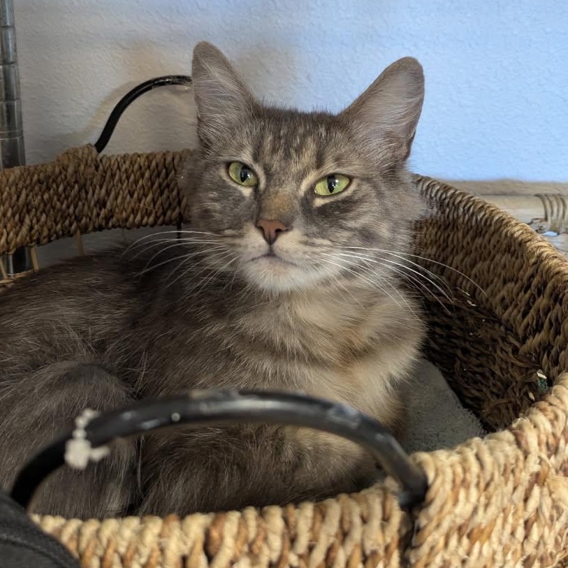 Eleanor