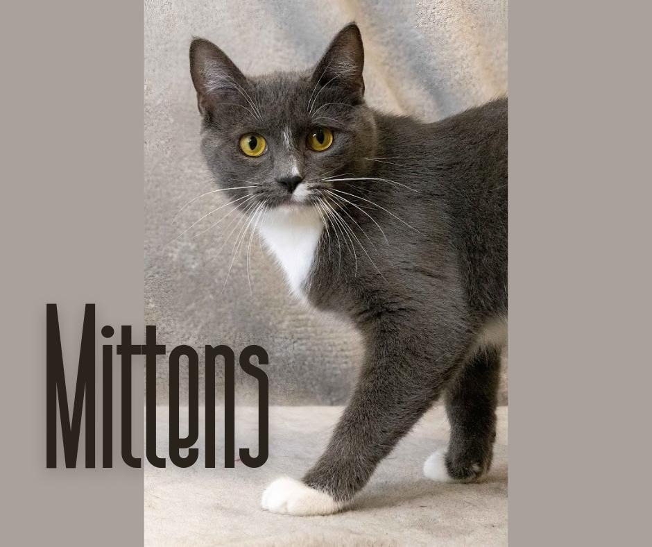 Mittens