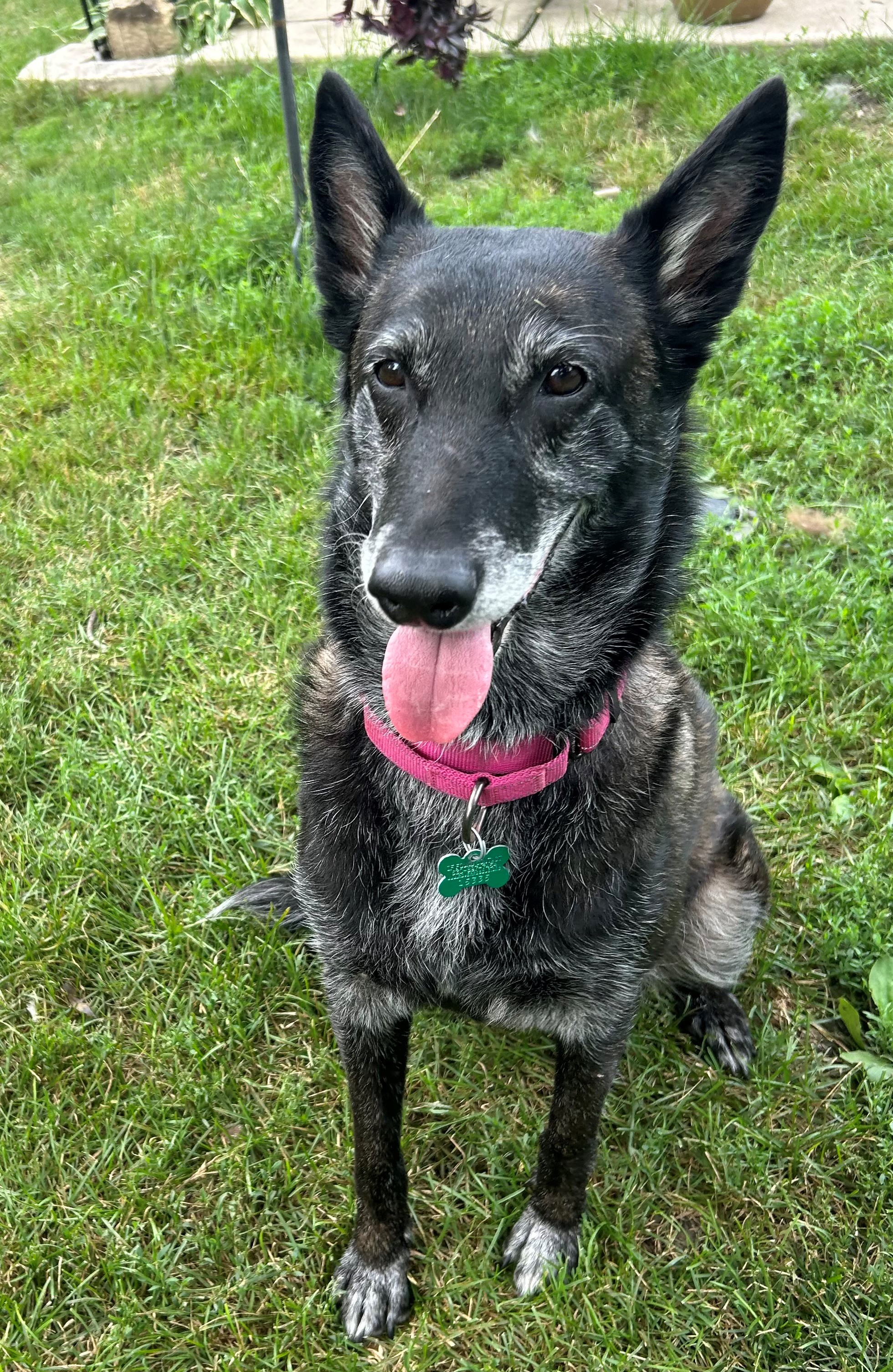 Nikki photo 5