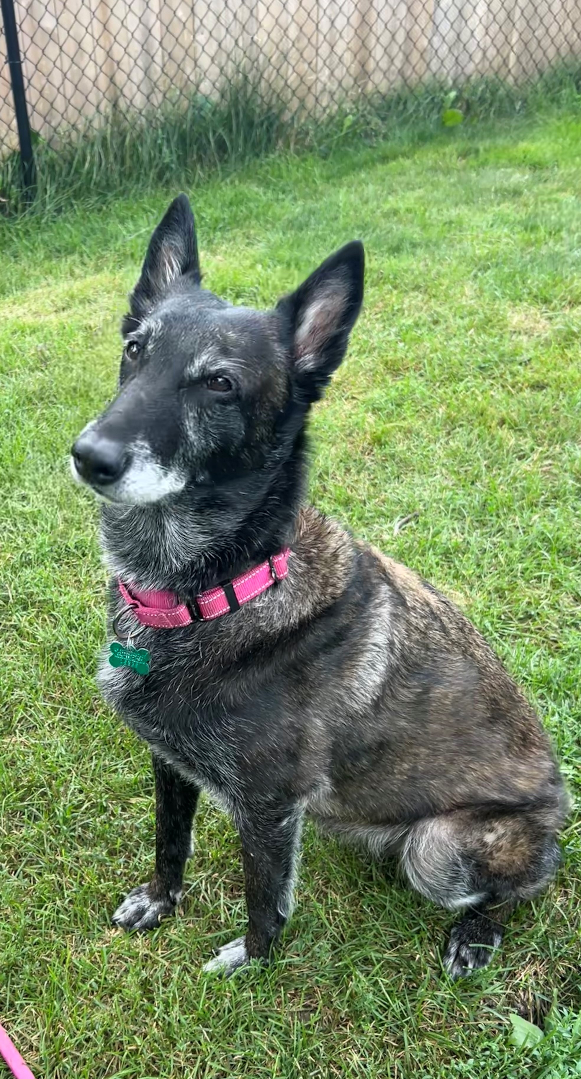 Nikki photo 4