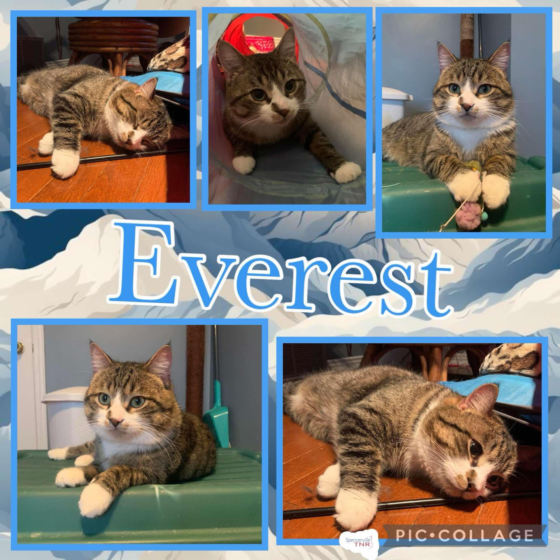 Everest photo 2