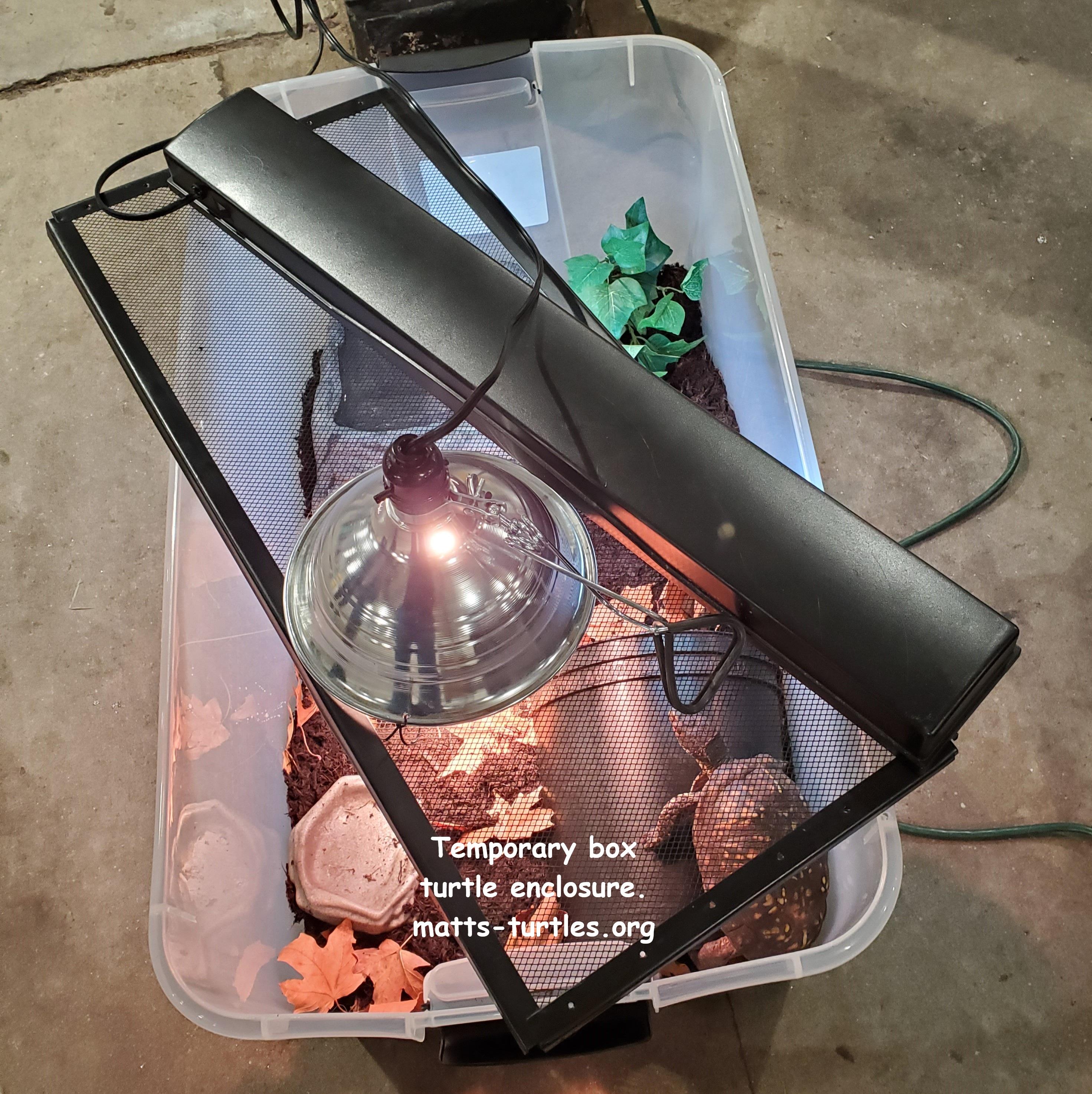 Enlarge Lenny Bruce E Box, an adopted Eastern Box in Baltimore, MD image 6/6