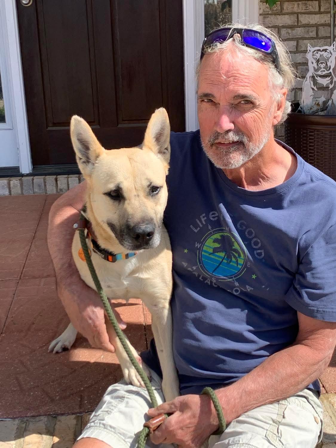 Enlarge Layla, a ADOPTABLE mixed breed in Douglas, MA image 4/6