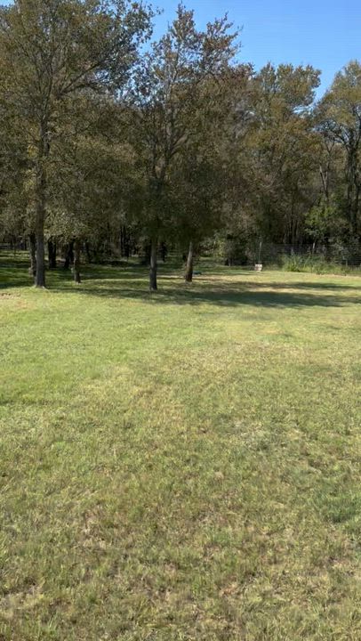 Enlarge Riley, a Adoptable Husky in Pilot Point, TX video 4/6