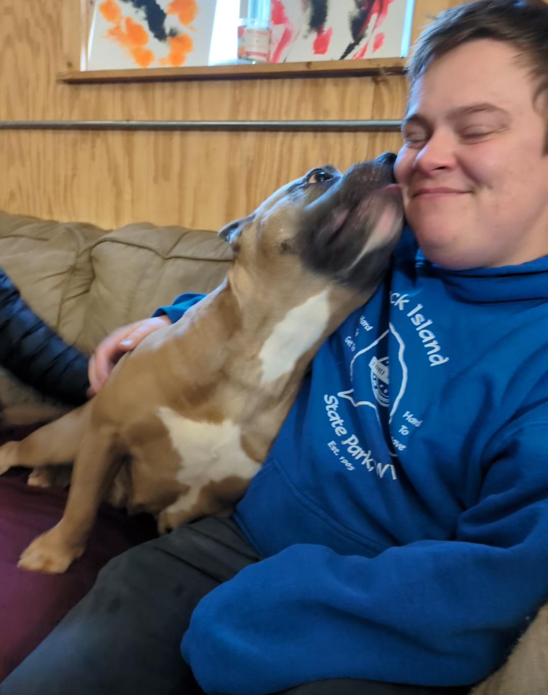 Enlarge Greta, an adopted mixed breed in Oregon, WI image 3/5