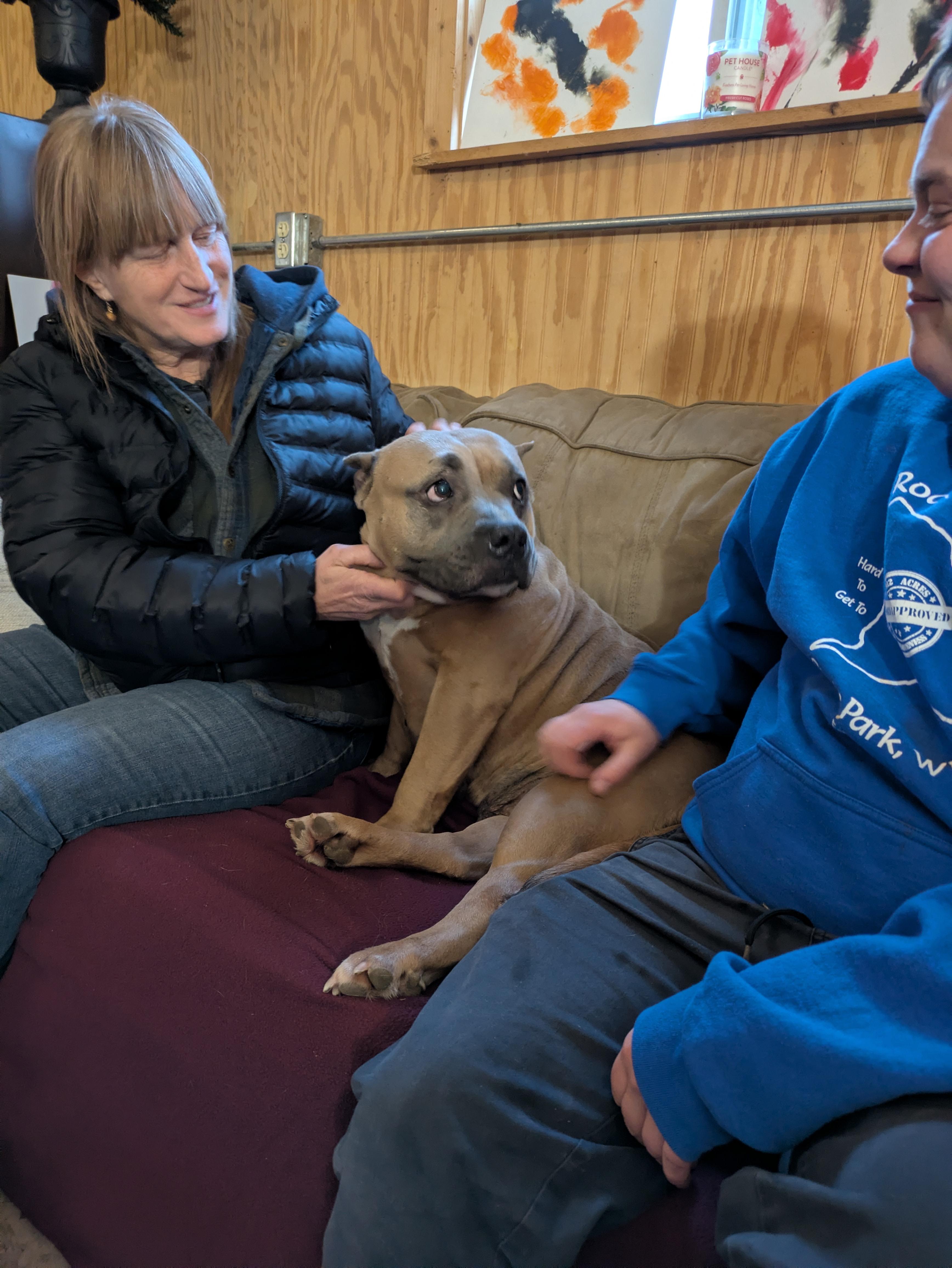 Enlarge Greta, an adopted mixed breed in Oregon, WI image 4/5