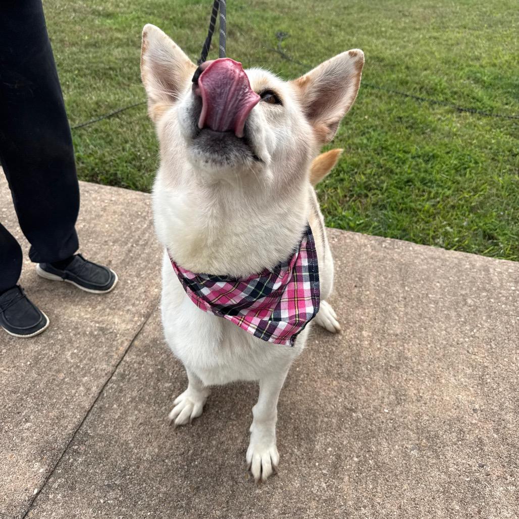 Katrina — thumbnail 2