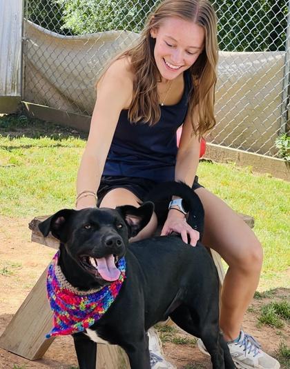 Enlarge Chance $85, a Adoptable mixed breed in Seneca, SC image 2/3