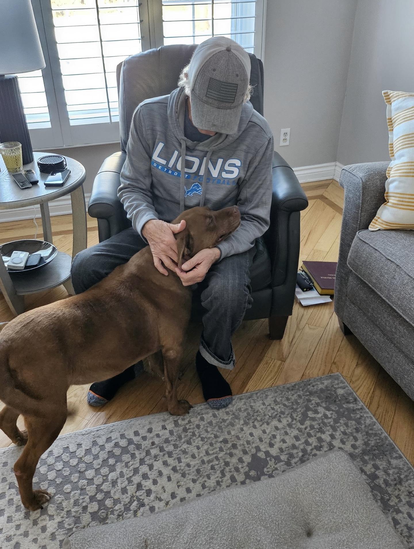 Enlarge Coco, a Adoptable mixed breed in Oxford, MI image 6/6