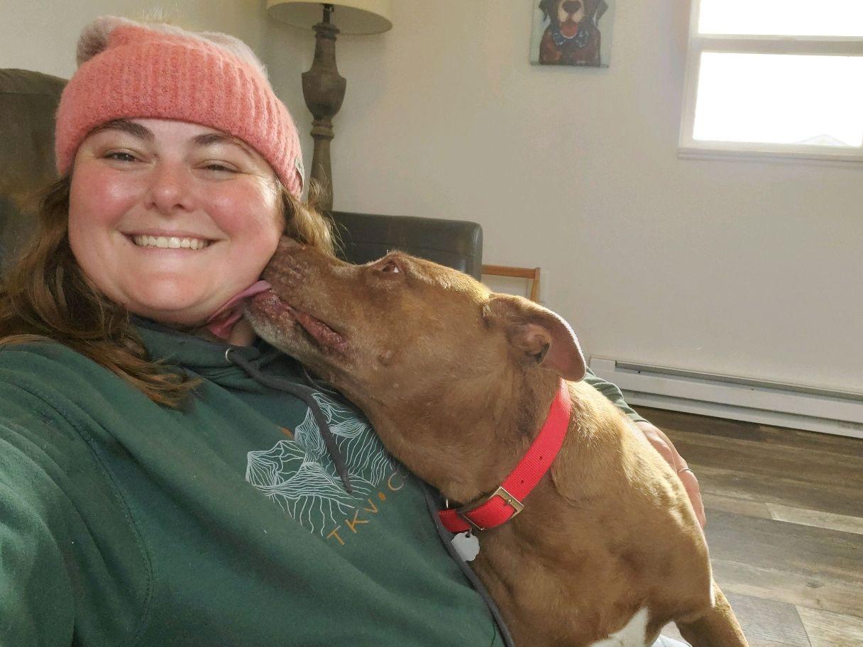 Coco, a Adoptable mixed breed in Oxford, MI image 6/6