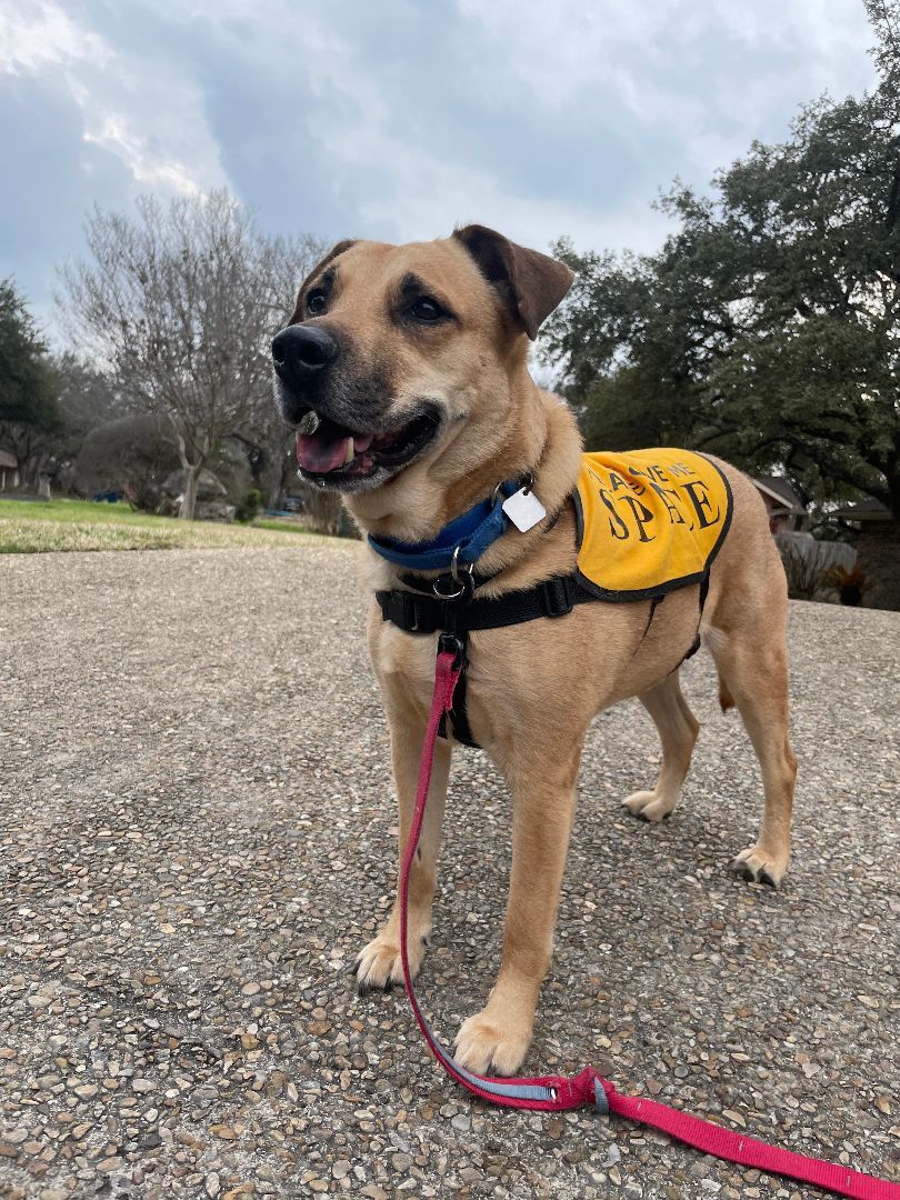 Buddy photo 1