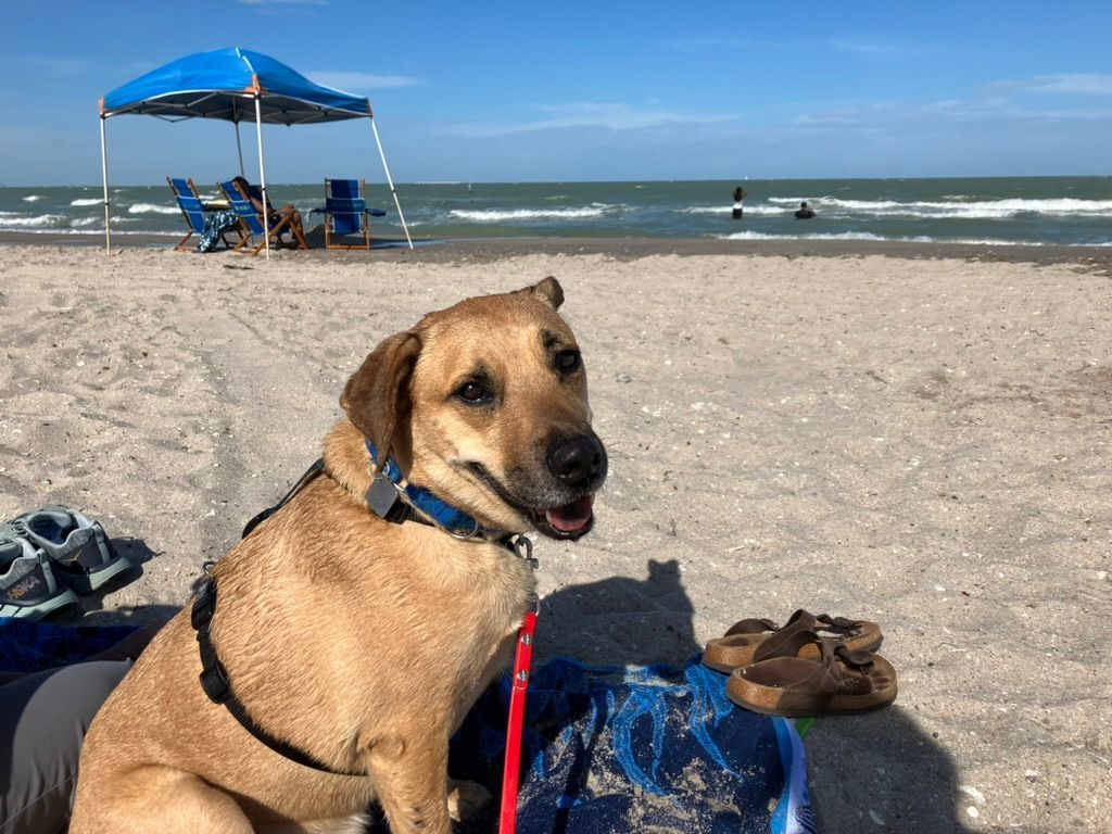 Buddy photo 4