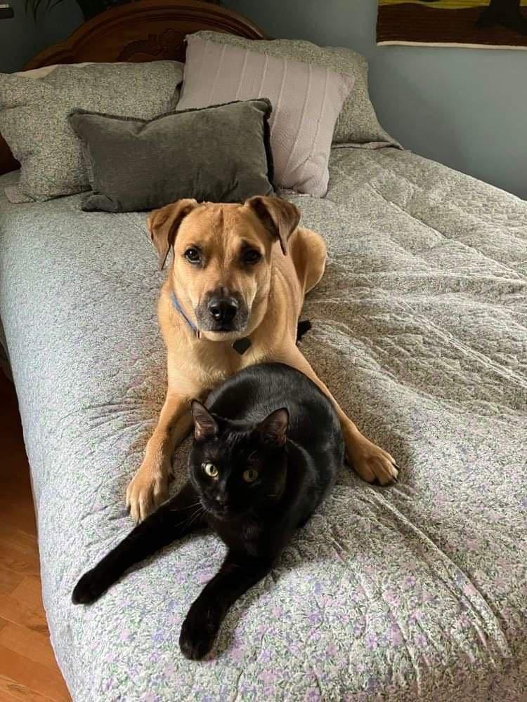 Buddy photo 6