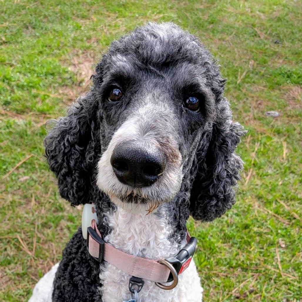 Presley Claire (San Antonio) — thumbnail 5