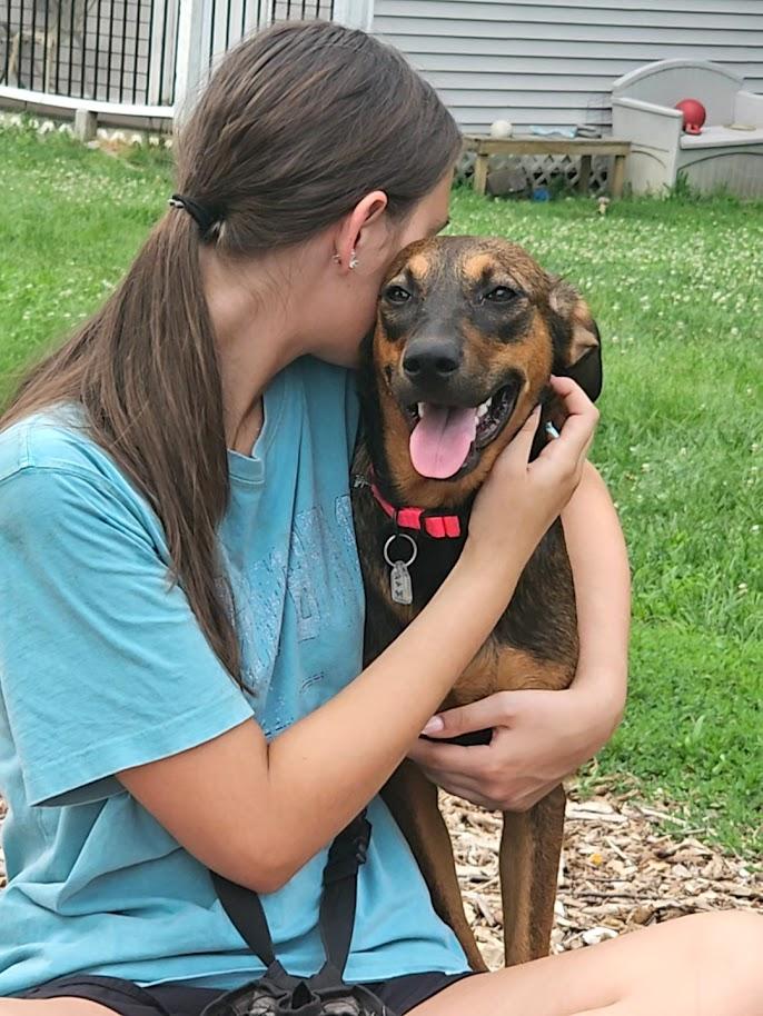 Enlarge Mabel, a Adoptable mixed breed in Ringwood, NJ image 3/3