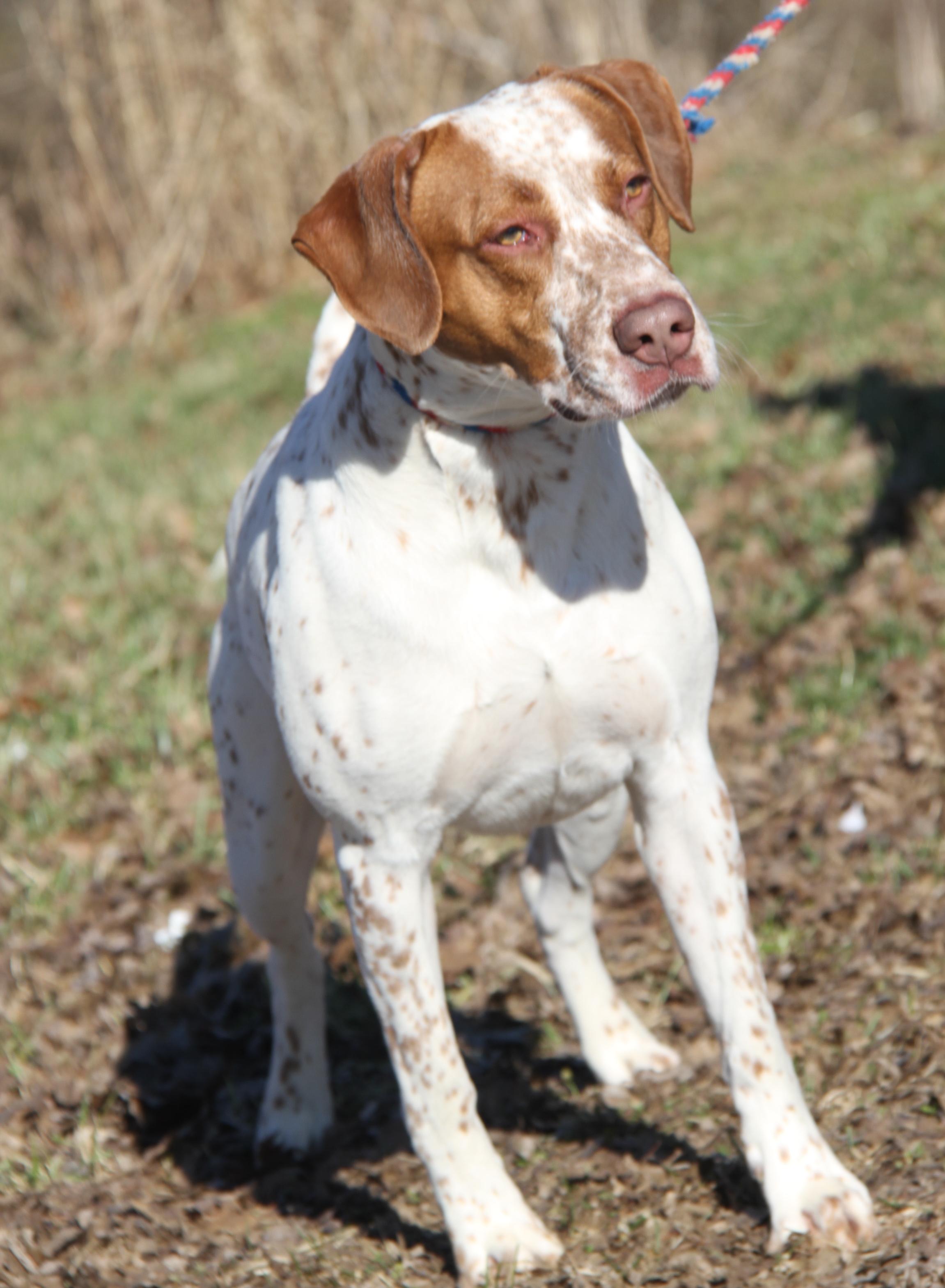 Piglet aka Piggie (Real Name Brutus)