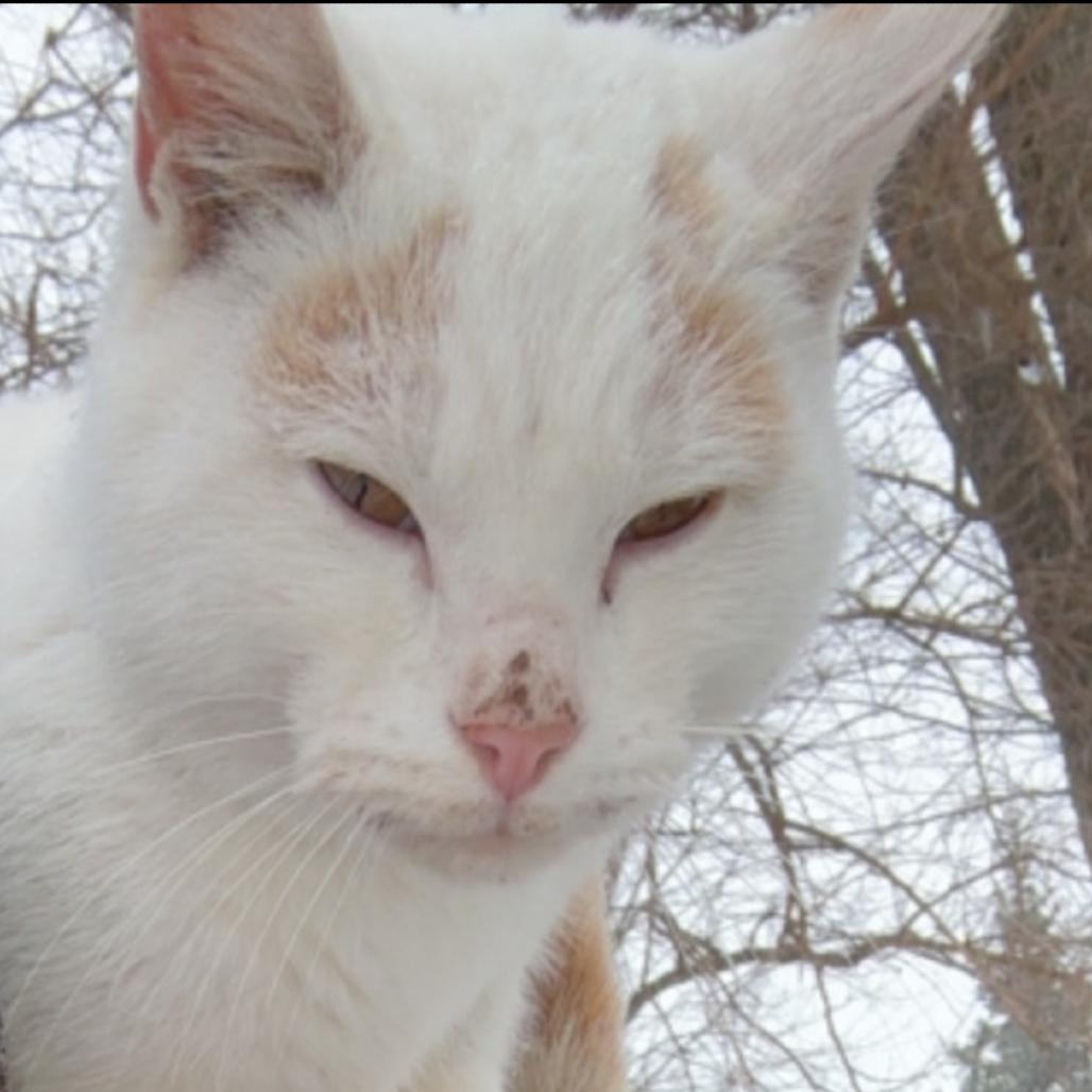 Asher — thumbnail 2