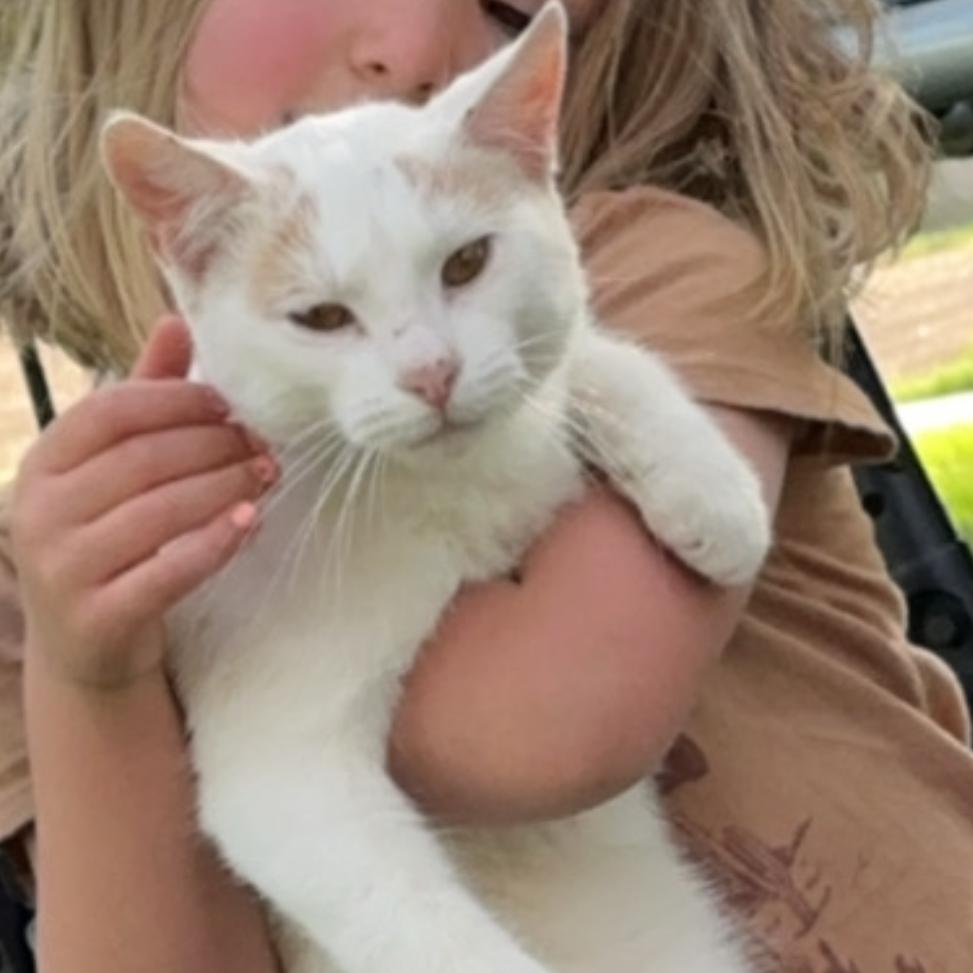 Asher — thumbnail 3