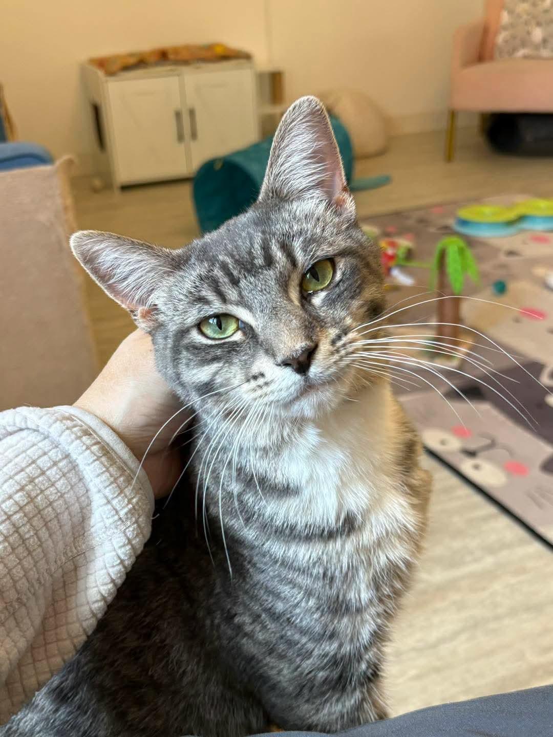 Walter photo