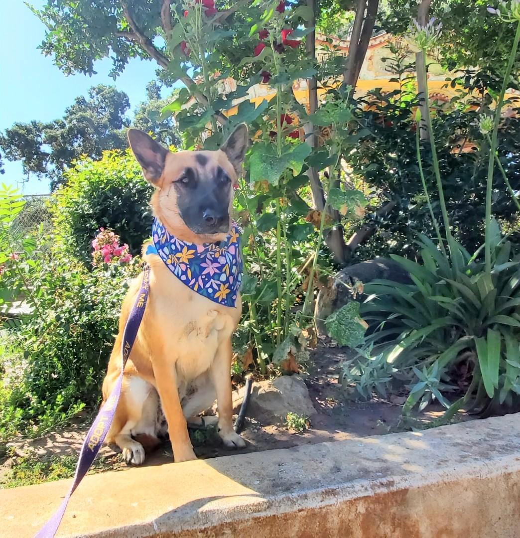 Freyja photo 4