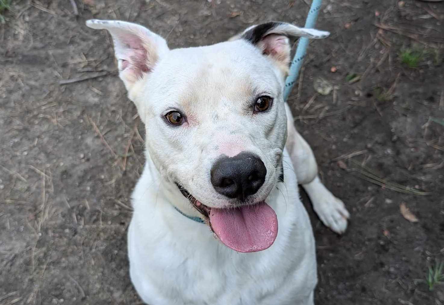 Hudson