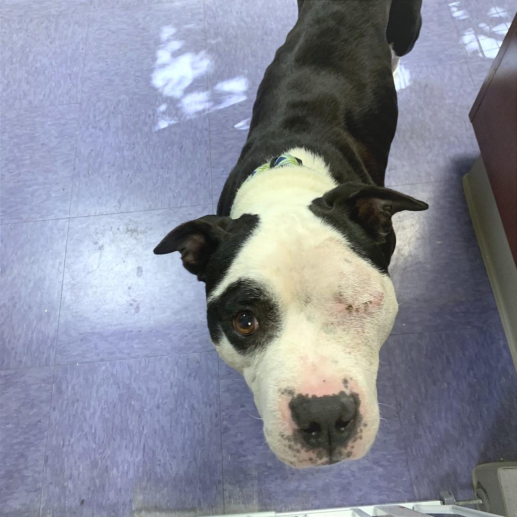 Walter — thumbnail 2