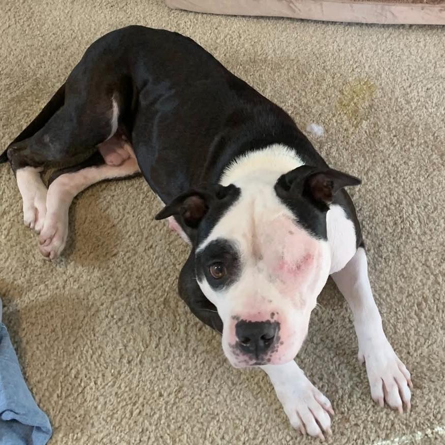 Walter — thumbnail 3